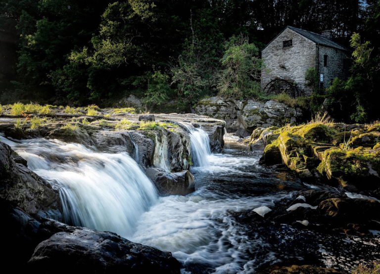 Discover Nature at Cenarth Falls Caravan Park – Your Ideal Holiday Spot